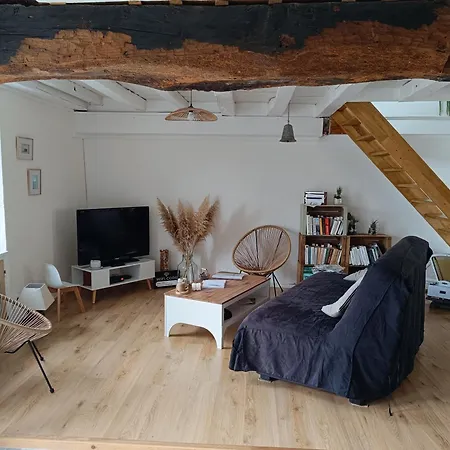 度假居 4 Etoiles La Garconniere Reugny (Allier)